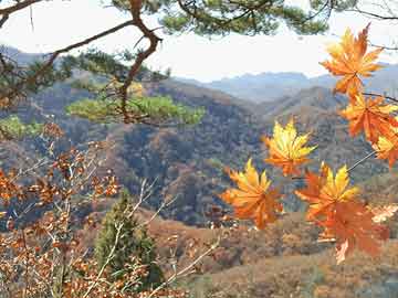 纪念抗日胜利70周年阅兵式，回顾历史，展望未来，纪念抗日胜利70周年阅兵式，历史回顾与未来展望