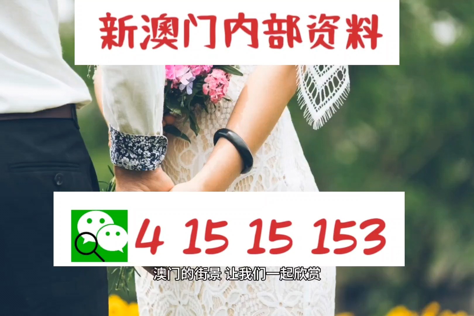 新澳精准正版资料免费，探索与启示，新澳正版资料免费探索，启示与攻略