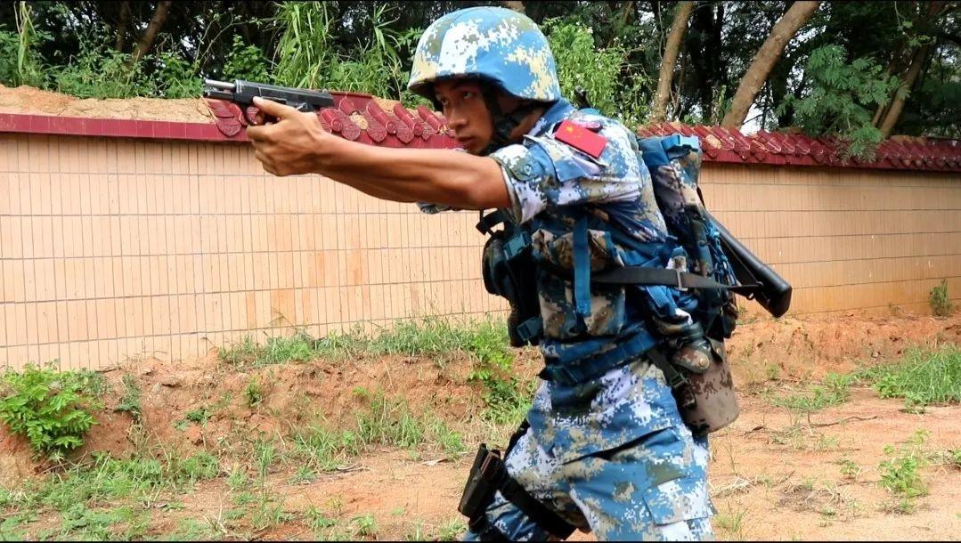 陆军与武警的区别，职责、职能与差异解析，陆军与武警职责、职能差异解析及区别详解