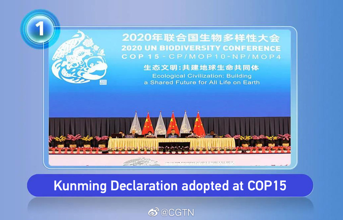 2021年科技新闻大盘点，2021年科技新闻大盘点回顾