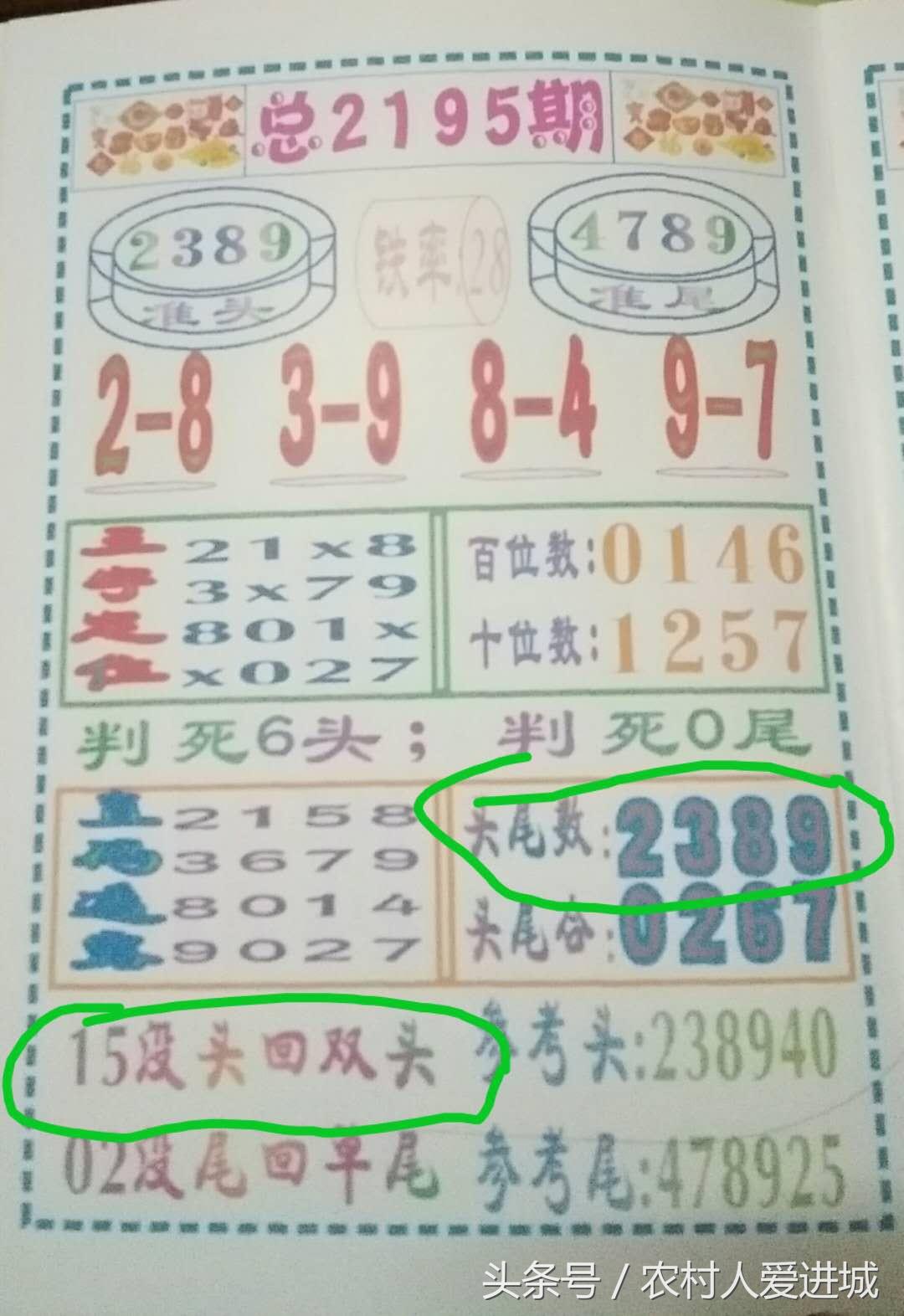 新澳门期期准，探索、挑战与机遇，新澳门期期准，探索、挑战与机遇并存