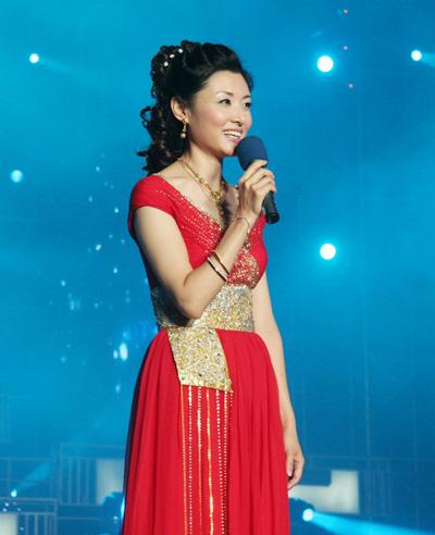 央视最美十大女主持人，魅力与才华并存的风采展示，央视最美十大女主持人，魅力与才华并存的风采瞩目