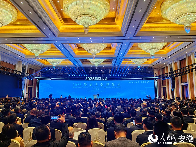 徽网论坛，汇聚智慧，共创未来，徽网论坛，汇聚智慧，共谋未来发展之路