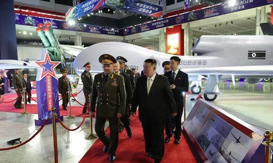 全球鹰营销系统，引领企业走向成功的关键力量，全球鹰营销系统，助力企业走向成功的核心引擎