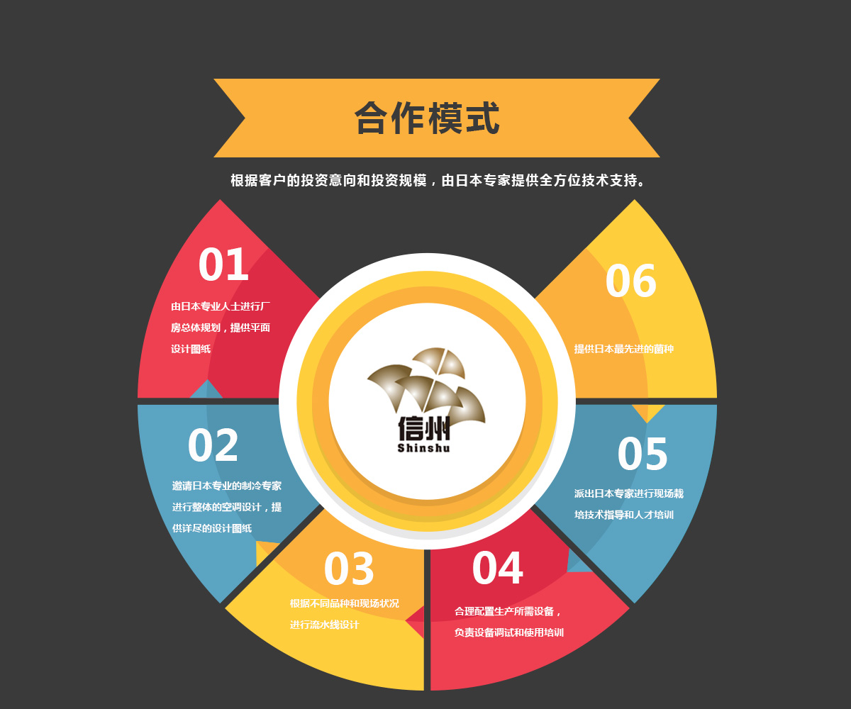 合作模式介绍，共创共赢的关键要素，共创共赢之路，合作模式详解与关键要素解析