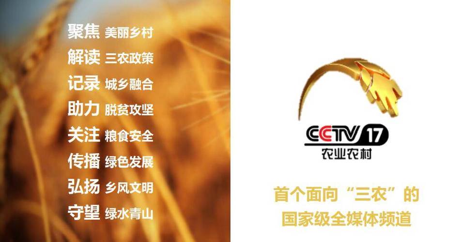 CCTV7聚焦三农广告，揭示农业的力量与魅力，CCTV7聚焦三农广告，展现农业的力量与魅力
