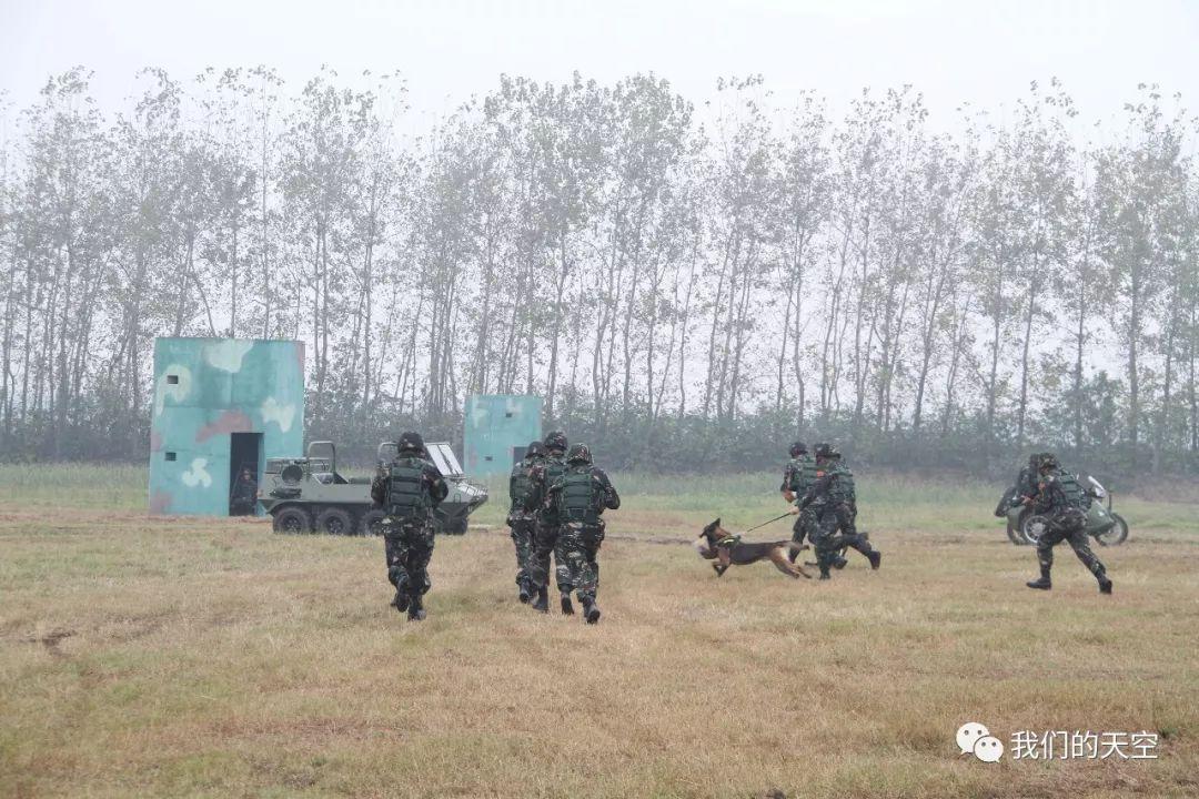 刘金沂的军衔与荣耀之路，刘金沂的军衔与荣耀之路，一位战士的辉煌历程