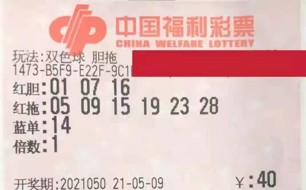 2025年香港六合资料大全查，探索与解析，香港六合资料大全解析，探索未来至2025年