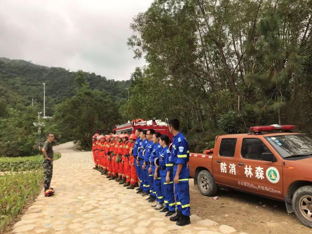 深圳无人机培训学校学费详解，深圳无人机培训学校学费全解析