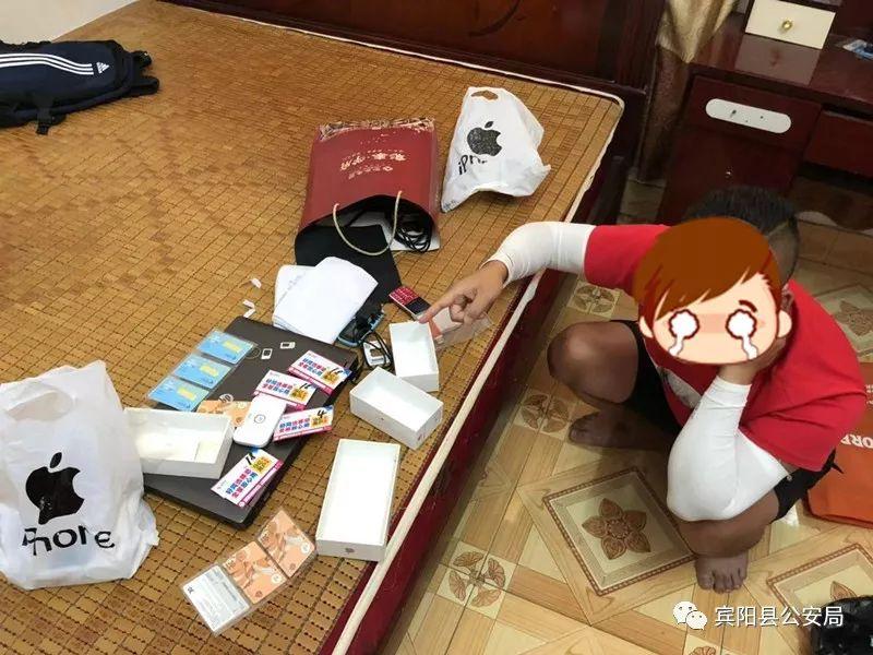 一肖规律破解，深度探索与理解，一肖规律破解，深度探索、理解与揭秘