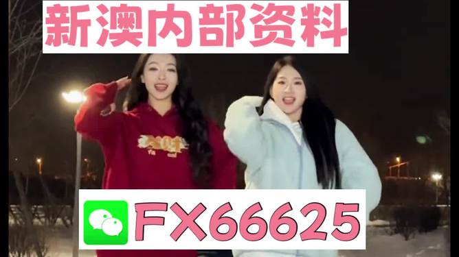 新澳一码一肖一特一中一特347期，探索与期待，新澳一码一肖一特一中一特第347期，探索与期待的新篇章