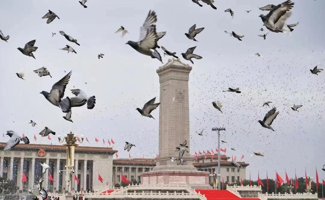钧正平，一位值得尊敬的时代先锋人物，钧正平，时代先锋，令人敬仰的楷模