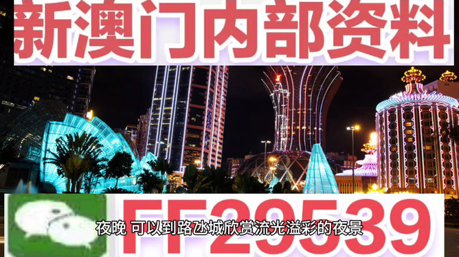澳门今晚必开一肖一特，探索生肖彩票的魅力与神秘，澳门生肖彩票探索，魅力与神秘的必开一肖一特之夜