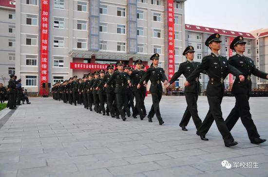 战略支援部队的专业领域及其重要性，战略支援部队专业领域深度解析，支撑国家安全的重要力量