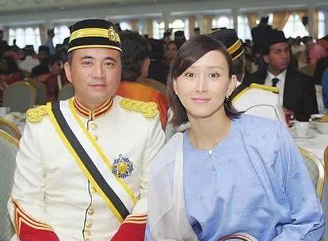 苏丹96式的历史演变与影响分析，苏丹96式历史演变及其影响分析