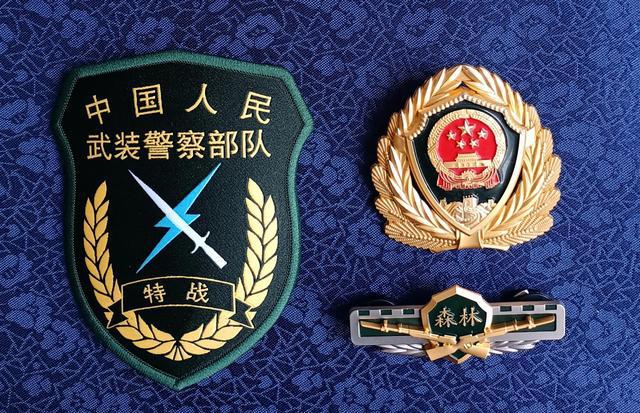 武警臂章21式，荣耀的象征与时代的印记，武警臂章21式，荣耀的象征，时代的印记