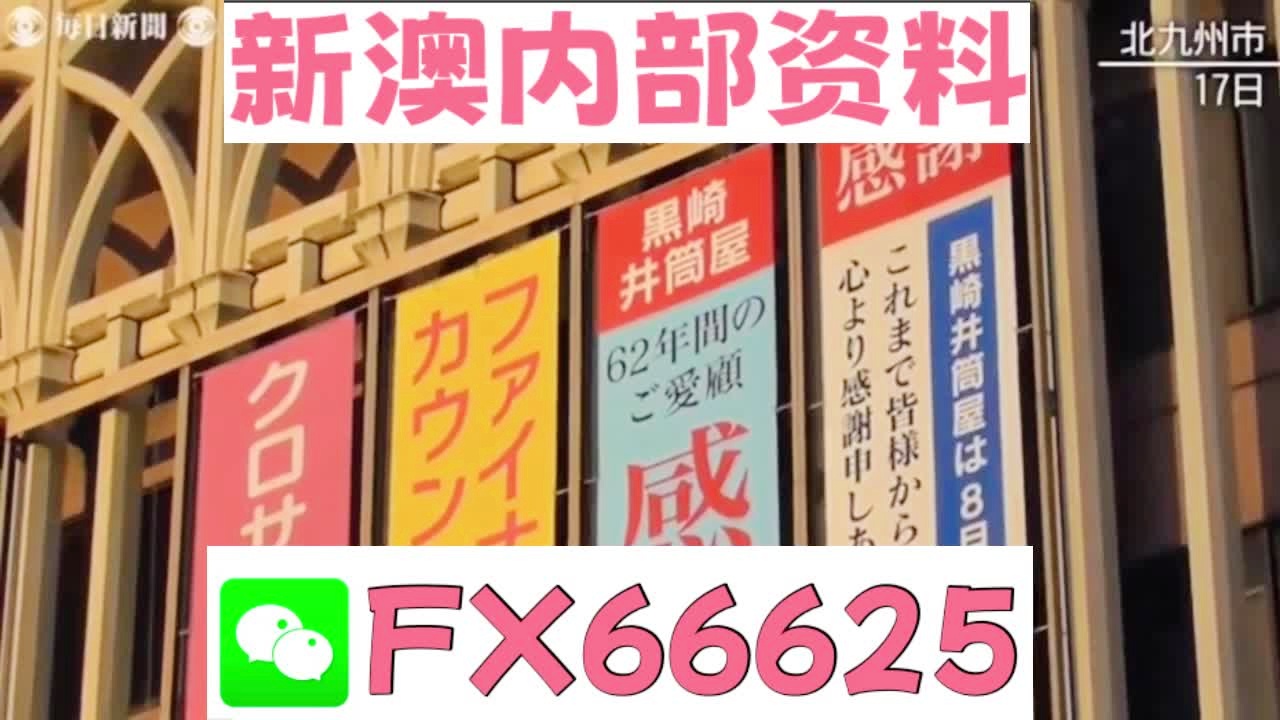 2025新澳精准资料大全详解，2025新澳精准资料大全详解手册