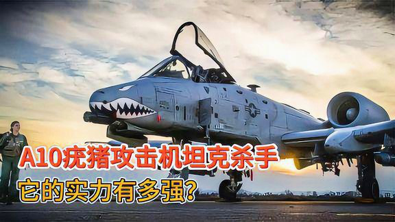 A-10疣猪攻击机的价格及其相关因素探讨，A-10疣猪攻击机的价格及相关因素解析