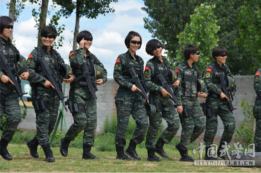 关于将某师改编为武警支队的探讨，某师改编为武警支队，深度探讨与解析