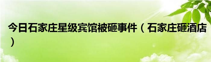 怒砸石家庄市星级酒店，一场失控的愤怒与反思，失控的愤怒，石家庄星级酒店遭砸事件反思