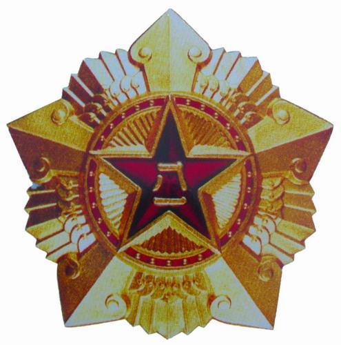八一勋章的含金量与待遇，荣耀与价值的体现，八一勋章，荣耀与待遇的体现