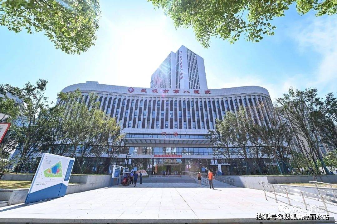武汉中部战区总医院官网，连接健康与未来的桥梁，武汉中部战区总医院官网，健康与未来的桥梁接轨处