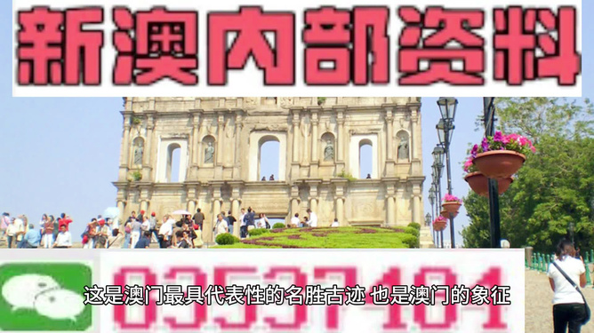 澳门4949资料免费大全，探索与解析，澳门4949资料大全解析，免费探索指南