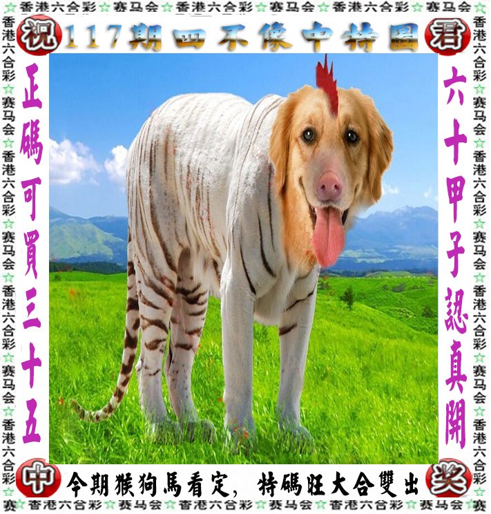 探索未知，超越王中王，不固定必出一肖的奥秘，探索未知领域，超越王中王，揭秘不固定必出一肖的神秘面纱