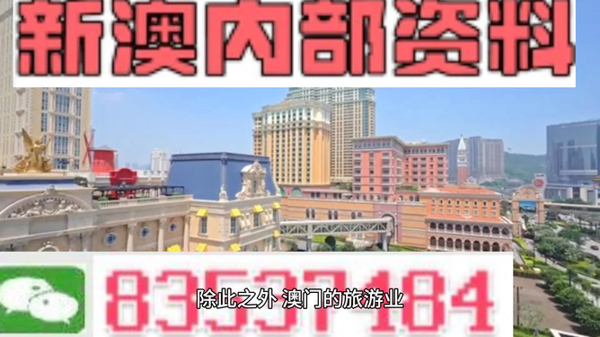 新澳门六开资料大全，探索与解读，澳门新六开资料解读与探索指南
