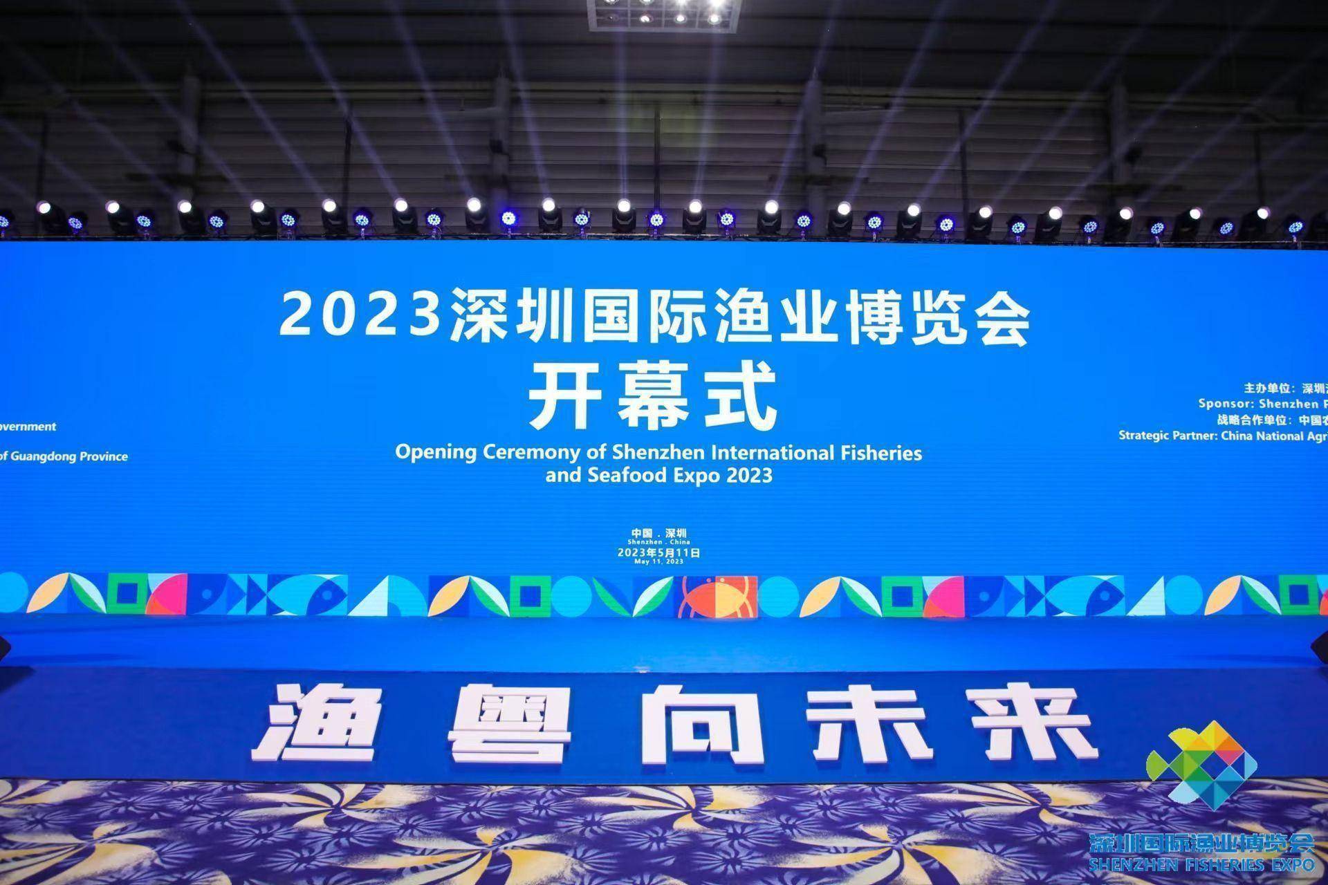 深度国际2023，探索未来之路，深度国际2023，探索未来之路