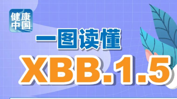 澳门2025正版资料免费公开，探索与揭秘，澳门2025正版资料探索与揭秘，免费公开揭秘内容