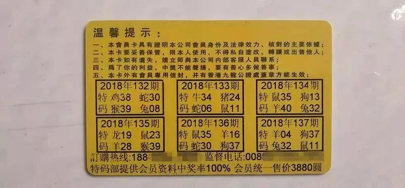 2025今晚香港开特马开什么