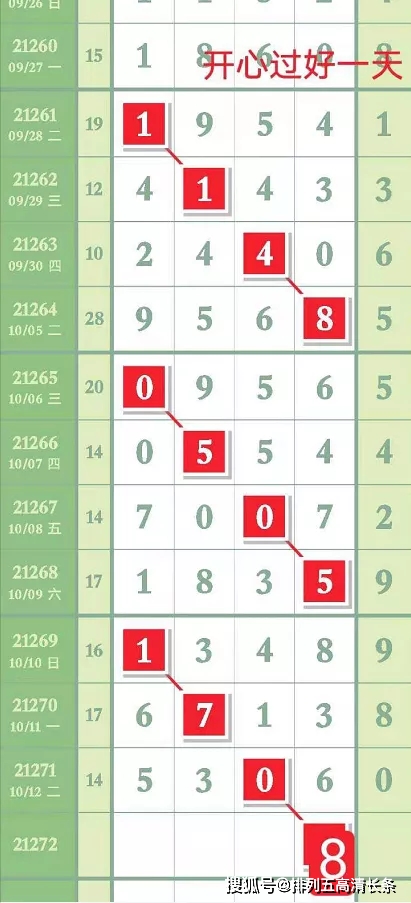 王中王一码一肖排码表图详解，王中王一码一肖排码表图全解析
