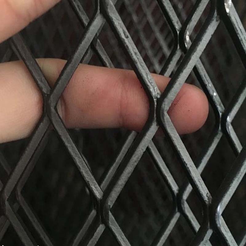 铁网的力量与魅力，铁网的力量与魅力探秘