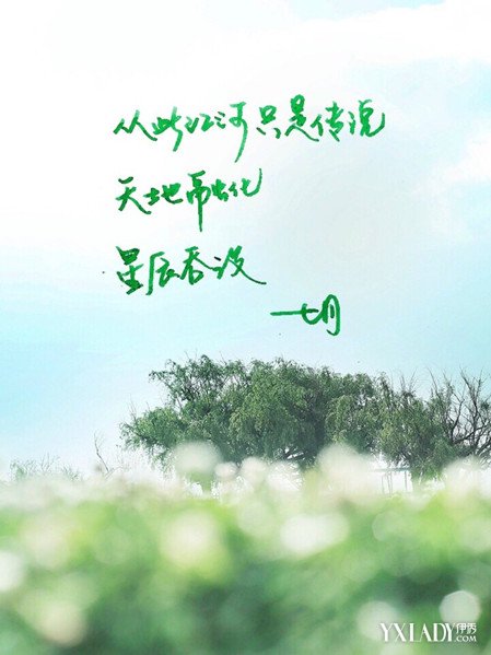美言图网，探寻美好言辞与视觉艺术的交融之地，美言图网，美好言辞与视觉艺术的完美交融