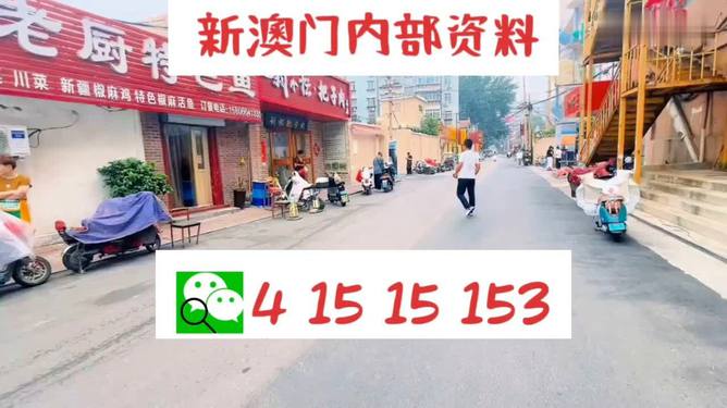 新澳门2025年天天开好彩的展望与期待，澳门未来展望，2025年天天好彩的期待与畅想