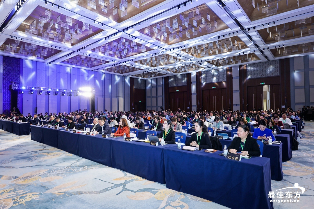 东方论坛，汇聚多元声音，共筑未来梦想，东方论坛，多元声音汇聚，共筑未来之梦