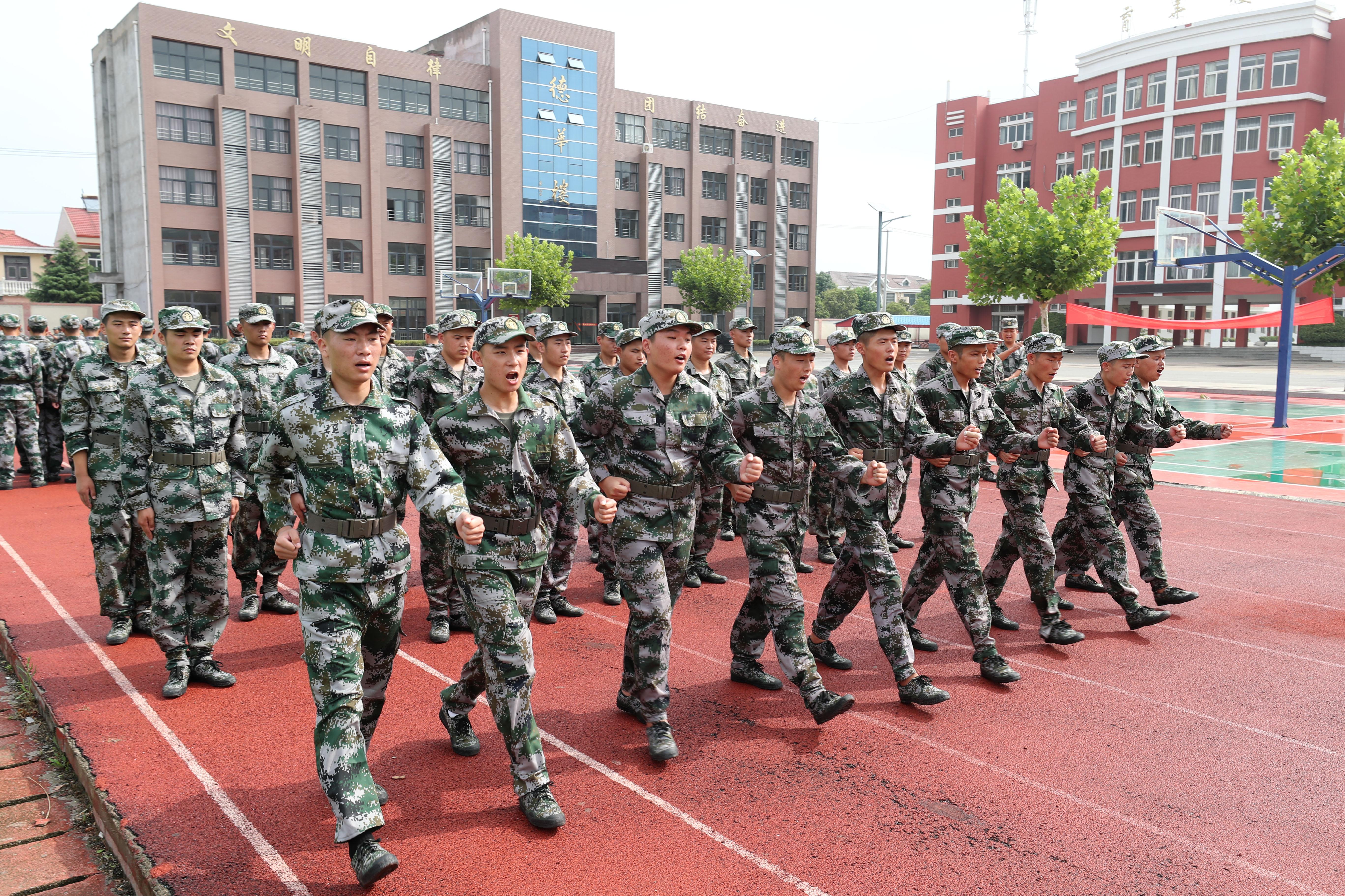 新兵下连集训，锤炼意志，锻造未来战士的必经之路，新兵下连集训，锤炼意志，战士成长的必经之路