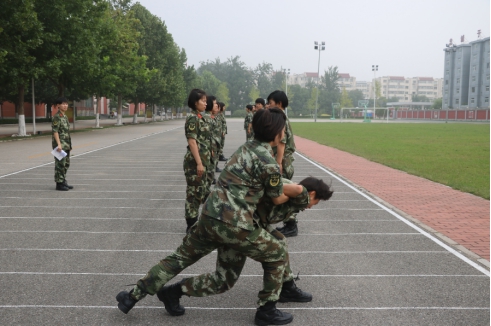 新兵新训感悟，磨砺与挑战的成长之路，新兵新训感悟，磨砺与挑战中的成长之路