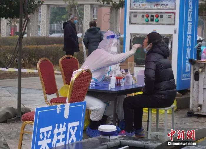 彩票世界的速度与激情探索