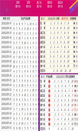 王中王四肖八码一F，探索神秘数字背后的故事，王中王四肖八码一F，揭开神秘数字背后的故事