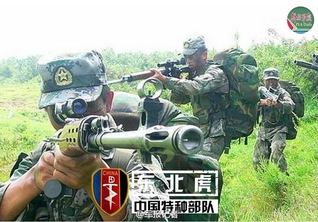 沈阳军区陆军编号，历史、现状及其意义，沈阳军区陆军，编号、历史、现状与意义探究