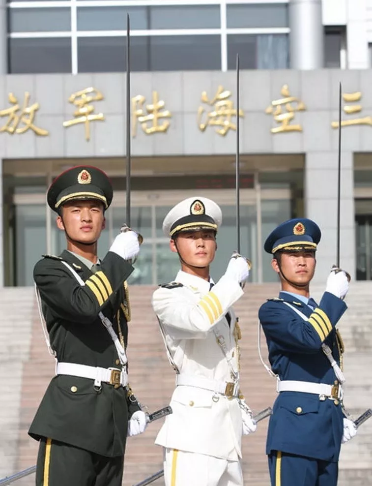 三军仪仗队图片真实，展现荣耀与威严的象征，三军仪仗队图片，荣耀与威严的展现