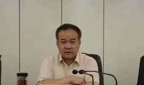 刘伯温三肖料选一肖，智慧背后的决策之道，刘伯温决策智慧，三肖料选一肖背后的决策策略