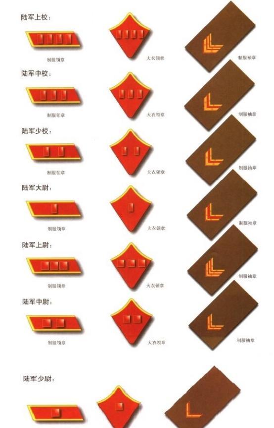 军官的军衔标志，象征荣耀与职责的徽章，军官军衔标志，荣耀与职责的象征徽章