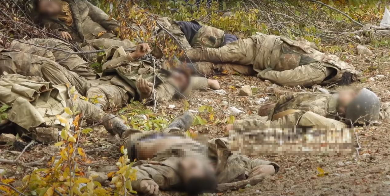 利比亚战争兵力对比，利比亚战争兵力对比与态势分析