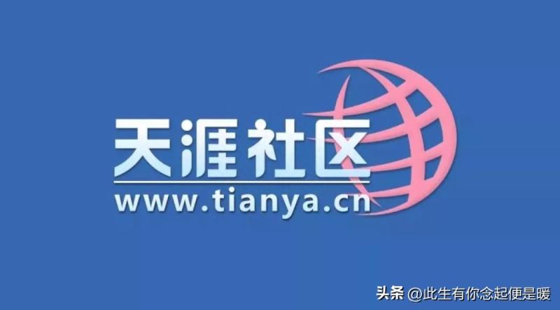 天涯论坛的兴衰与变迁，网络时代的记忆与思考，天涯论坛的兴衰变迁，网络时代的记忆与思考