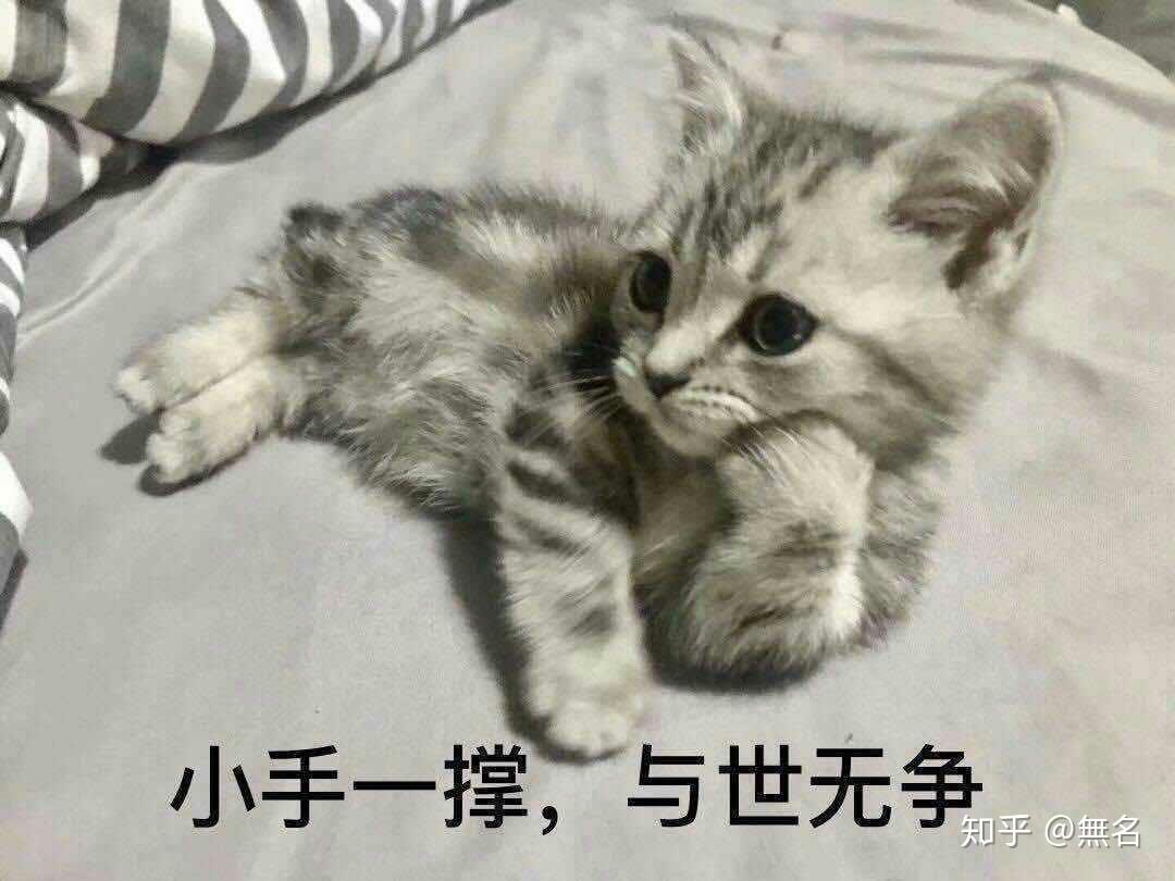 神秘预测与传奇故事