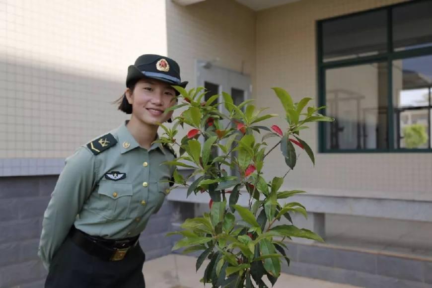 集团军与武警的区别，集团军与武警，两大力量体系解析