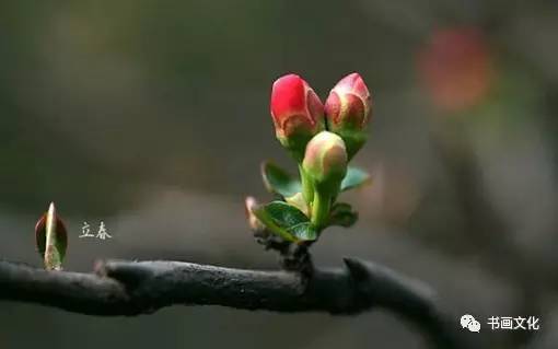 今日立春时刻，万物复苏与新的希望，立春时刻，万物复苏与希望萌芽